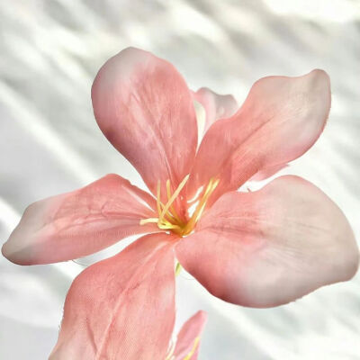 ‎#قدرات خارقة