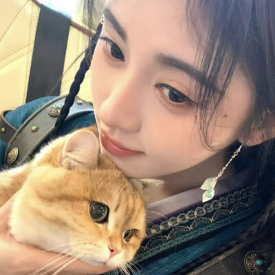 图里有两只猫
