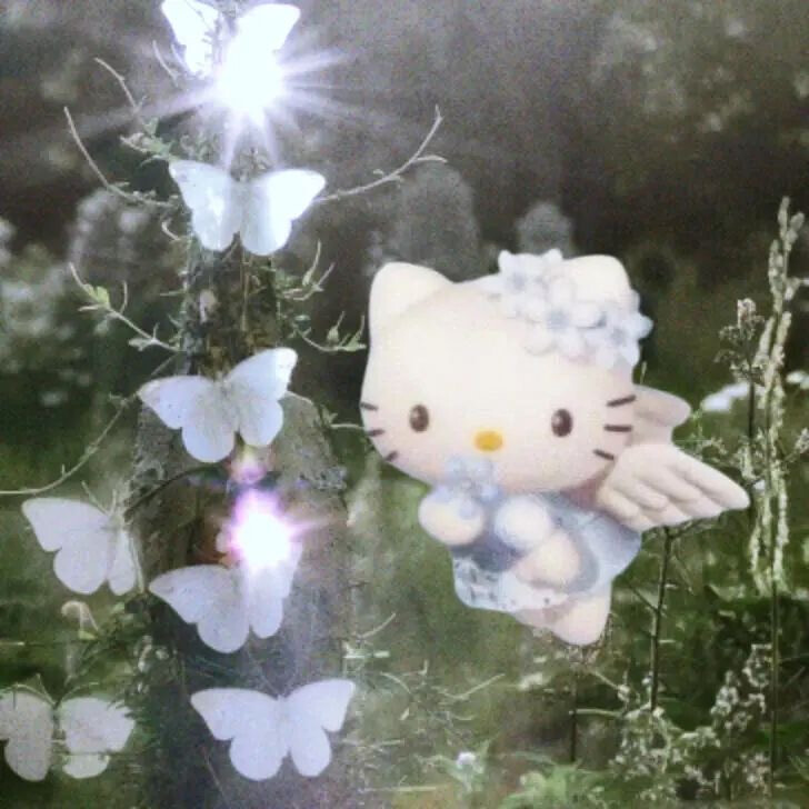Kitty背景图