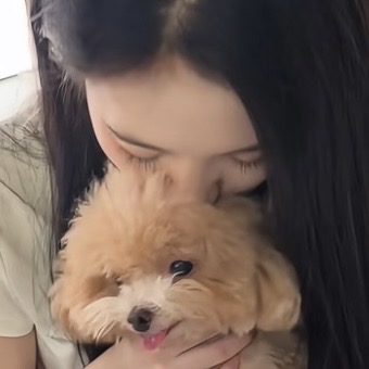 我早茶月光洒在你头发
