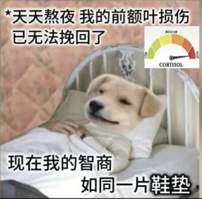 表情包