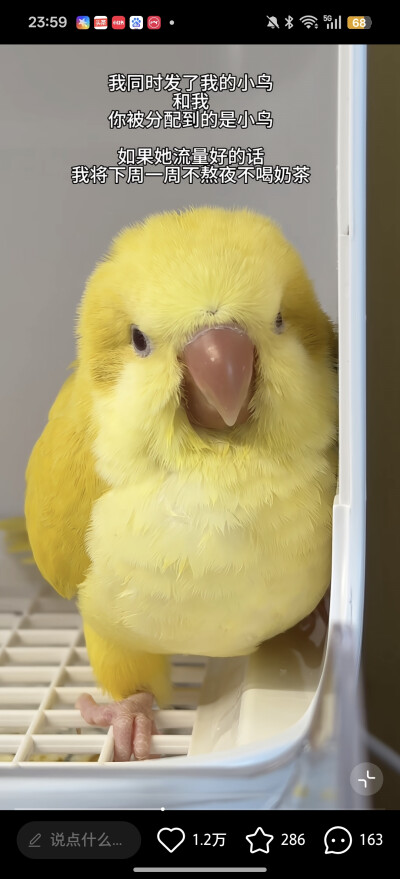 .