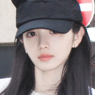 小猫游记