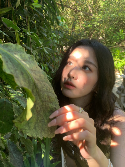 包上恩
