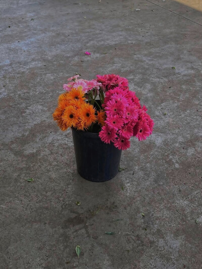 日常
愛