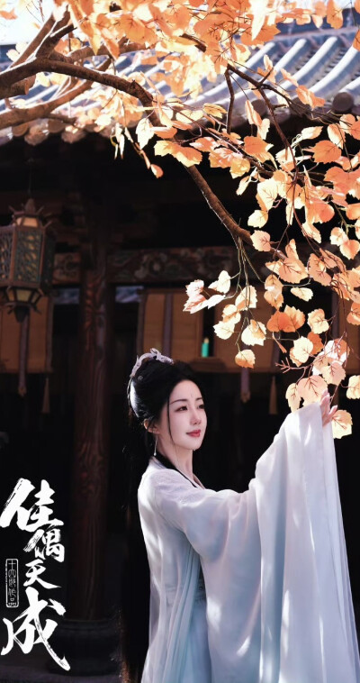 陈欣予《佳偶天成》段仙音