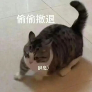 猫猫表情包
