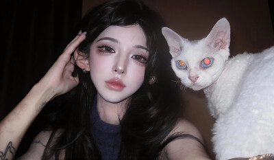 机智张
