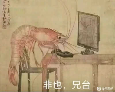 表情包