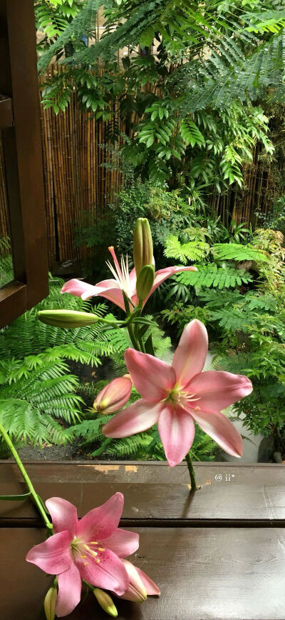 壁纸