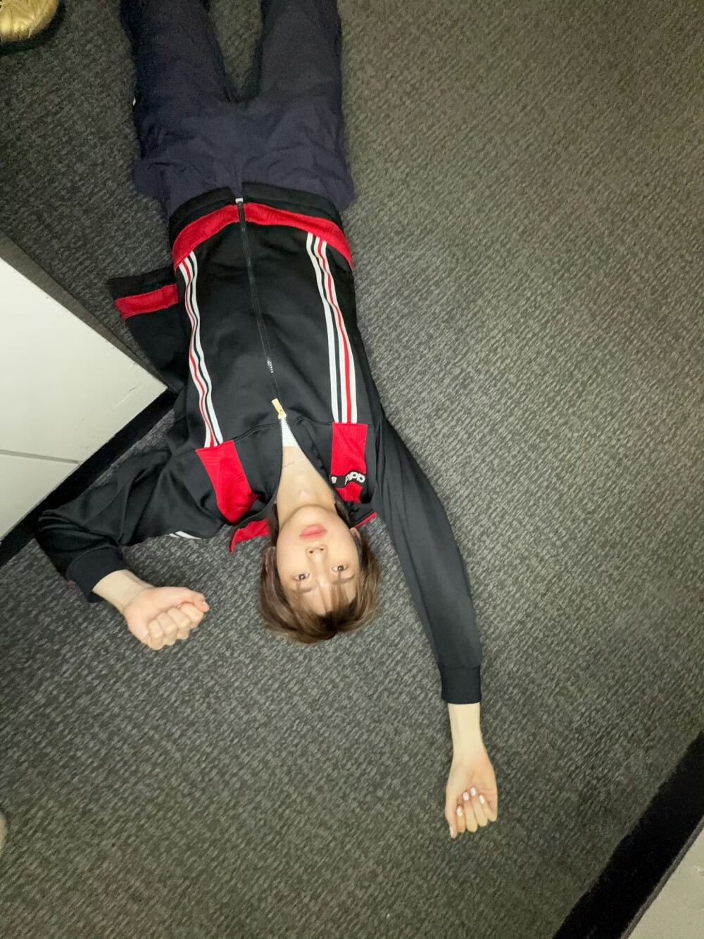 金主训