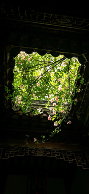 壁纸