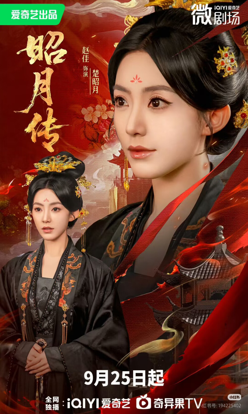 赵佳