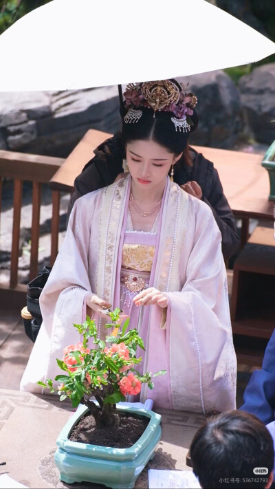 司宫令