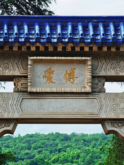 日常
紫金山下