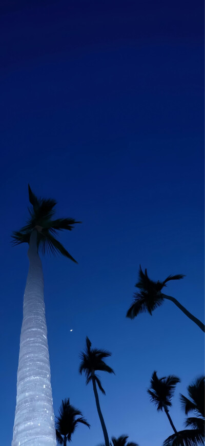 壁纸/聊天背景图