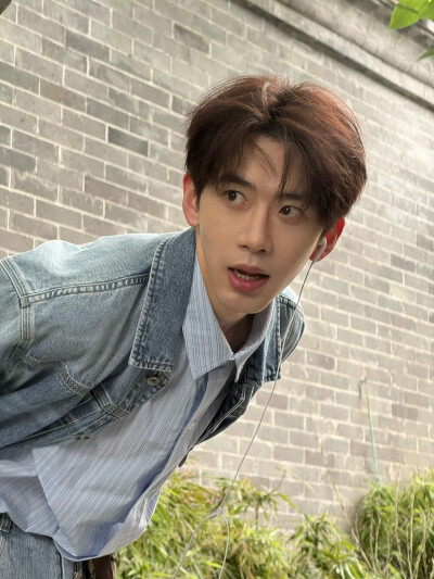费启鸣