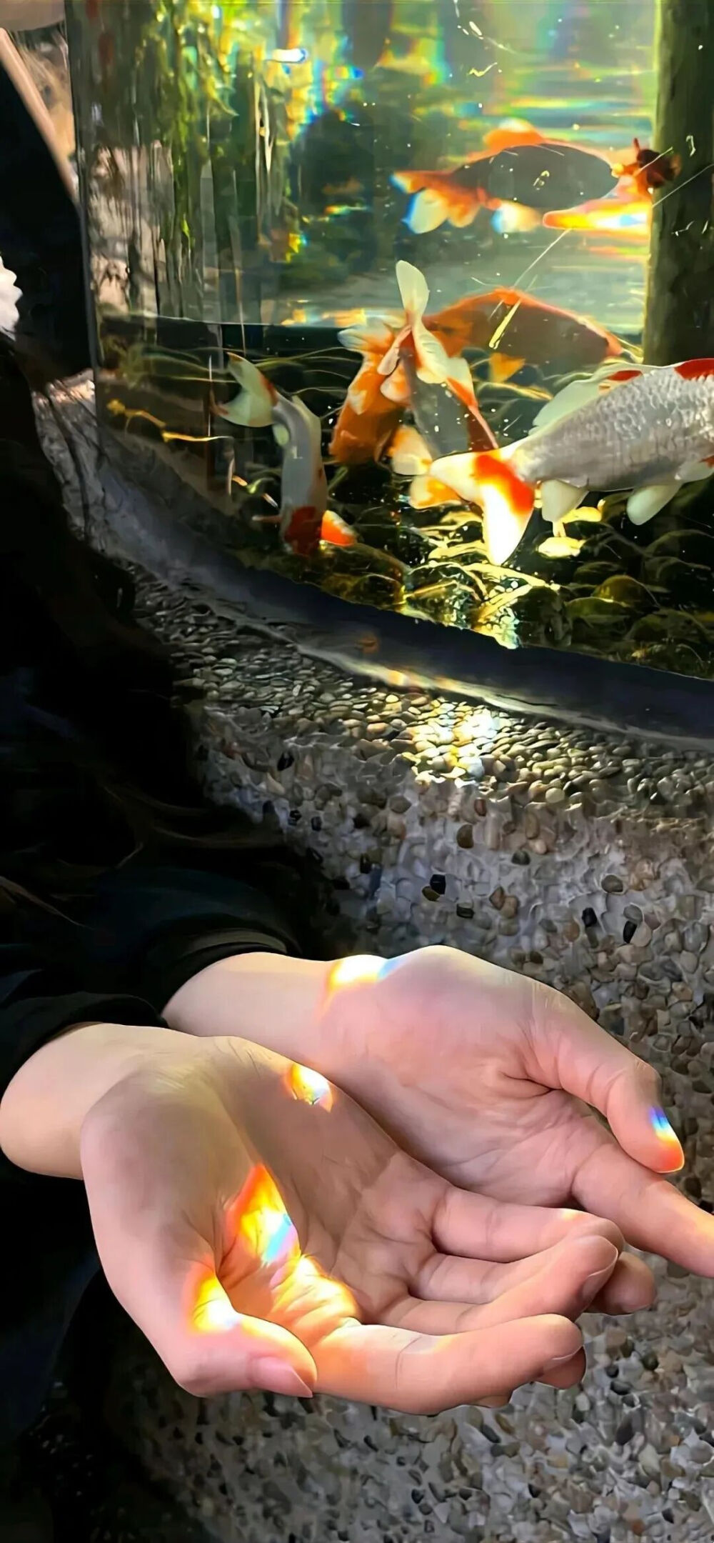 侵删
