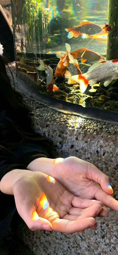侵删