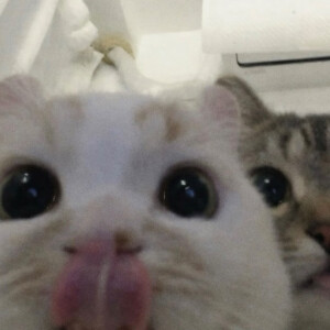 情头
