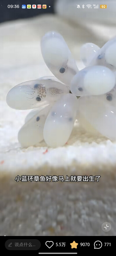 。
