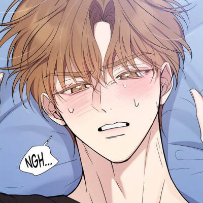 漫画：恩宠之夜
作者：미스피엠 강언니
动漫男头Δ