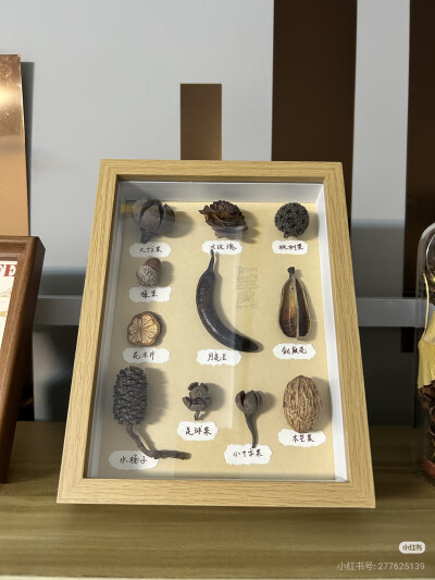 好物