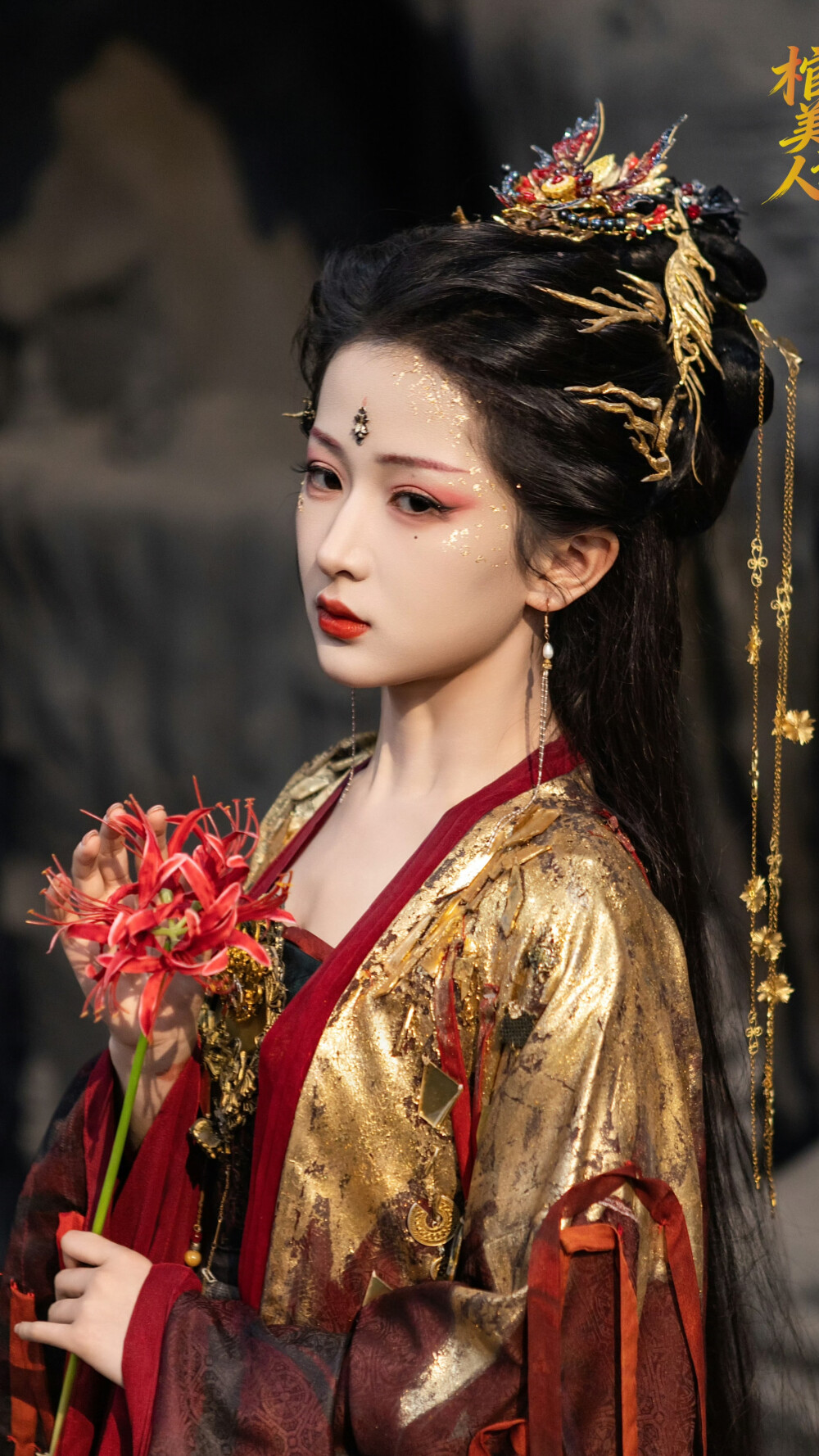 柜中美人谋 慕宛灵 王海敏