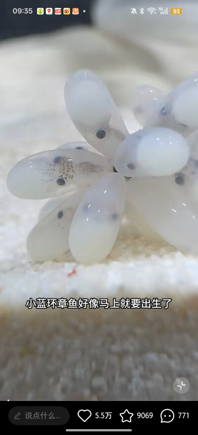 。