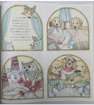 涂色