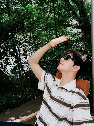杨洋