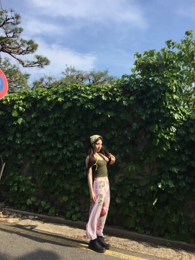 田姬振