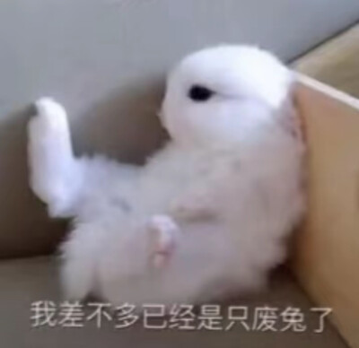 侵权删