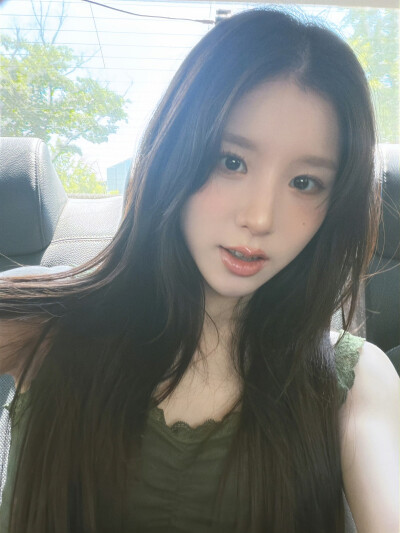 田姬振