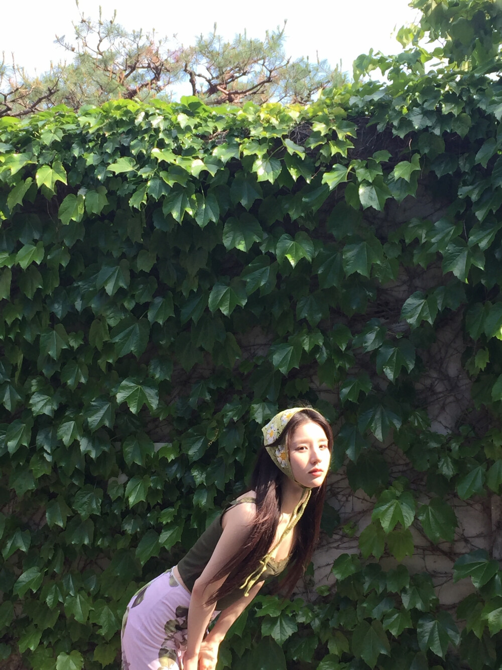 田姬振