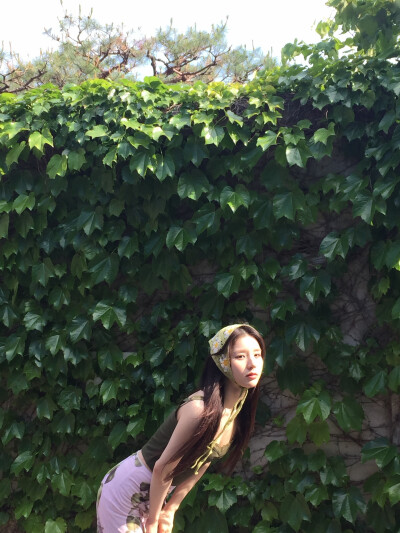 田姬振