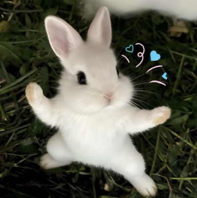 。