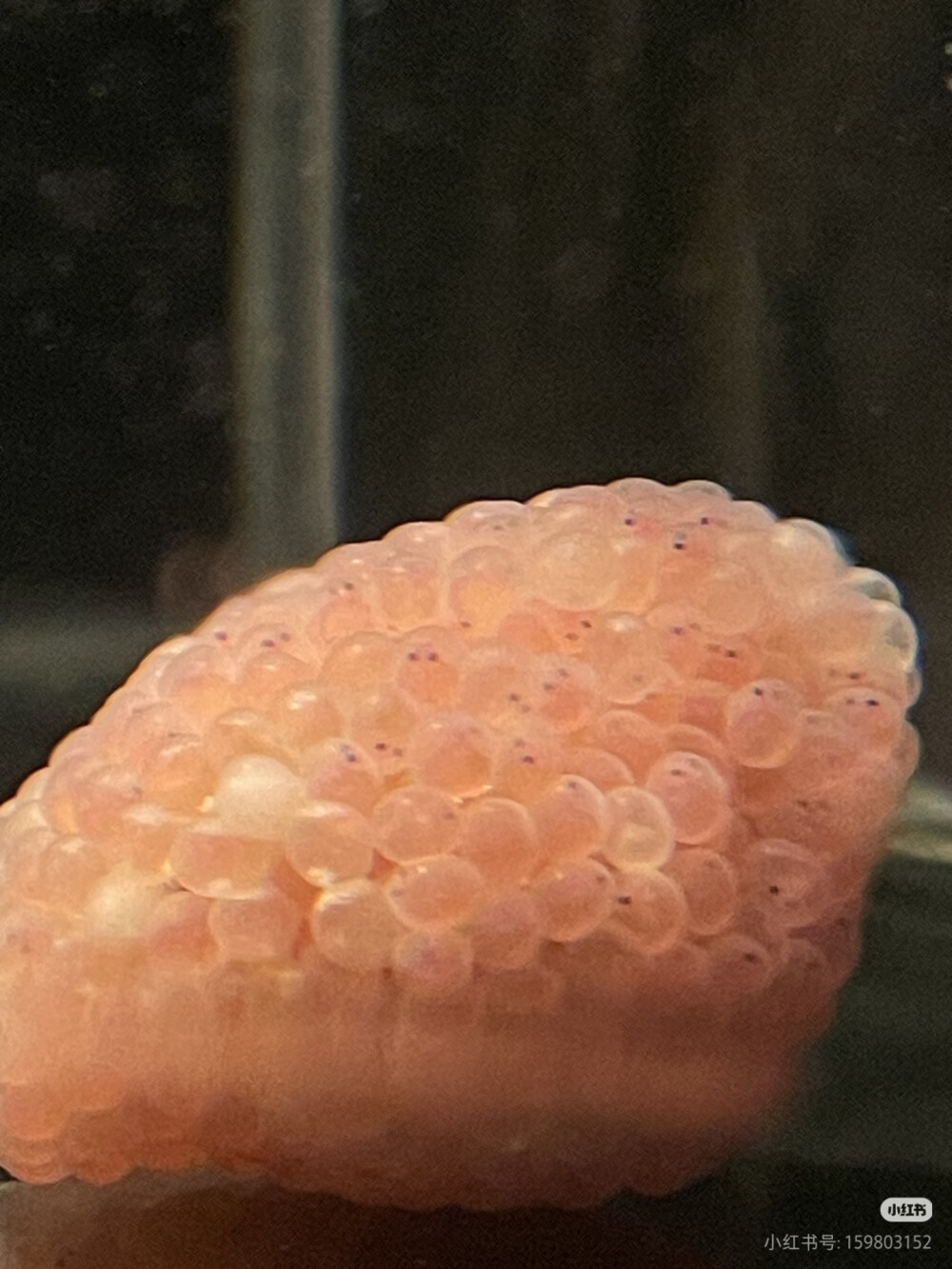 。