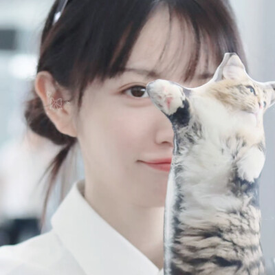 薇薇