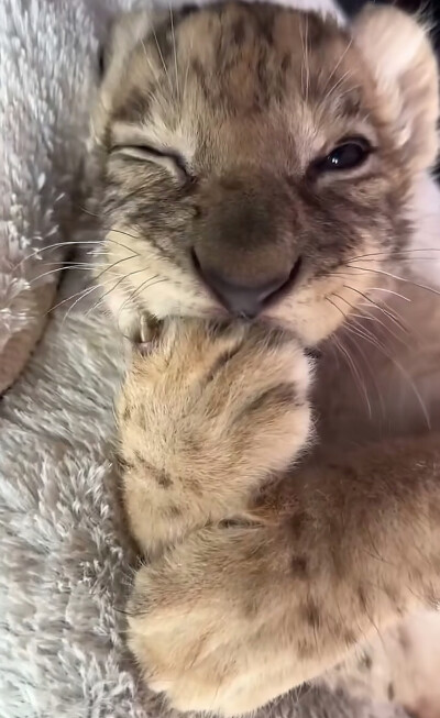 ～