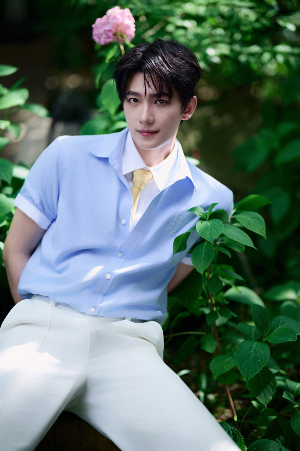 杨洋