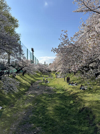 只有日本
