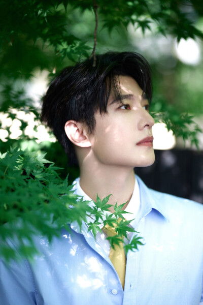 杨洋