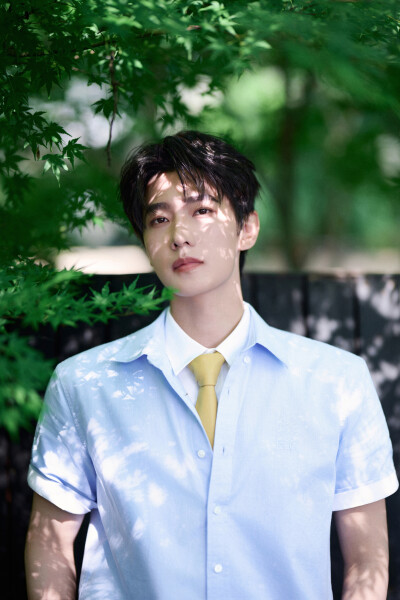 杨洋