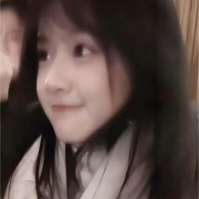 笨蛋