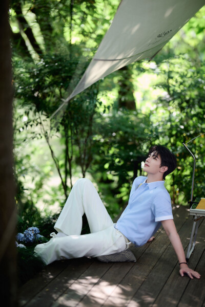 杨洋