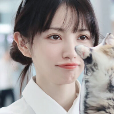 薇薇