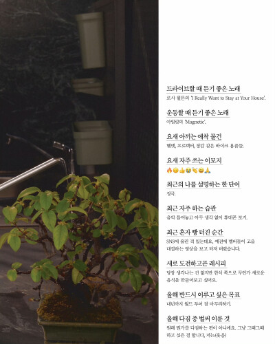 260515
harpersbazaakorea ins更新柾国相关