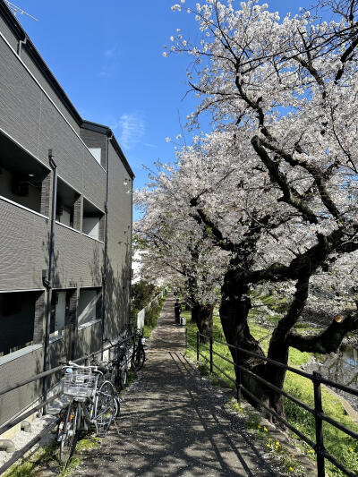只有日本