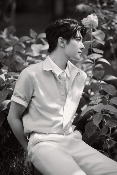 杨洋